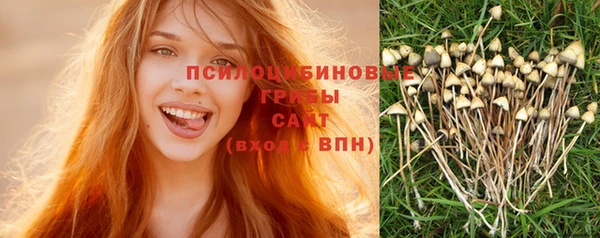 стафф Армянск