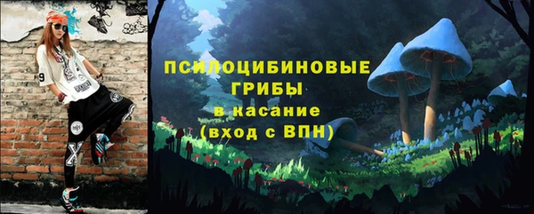 мяу мяу мука Алзамай